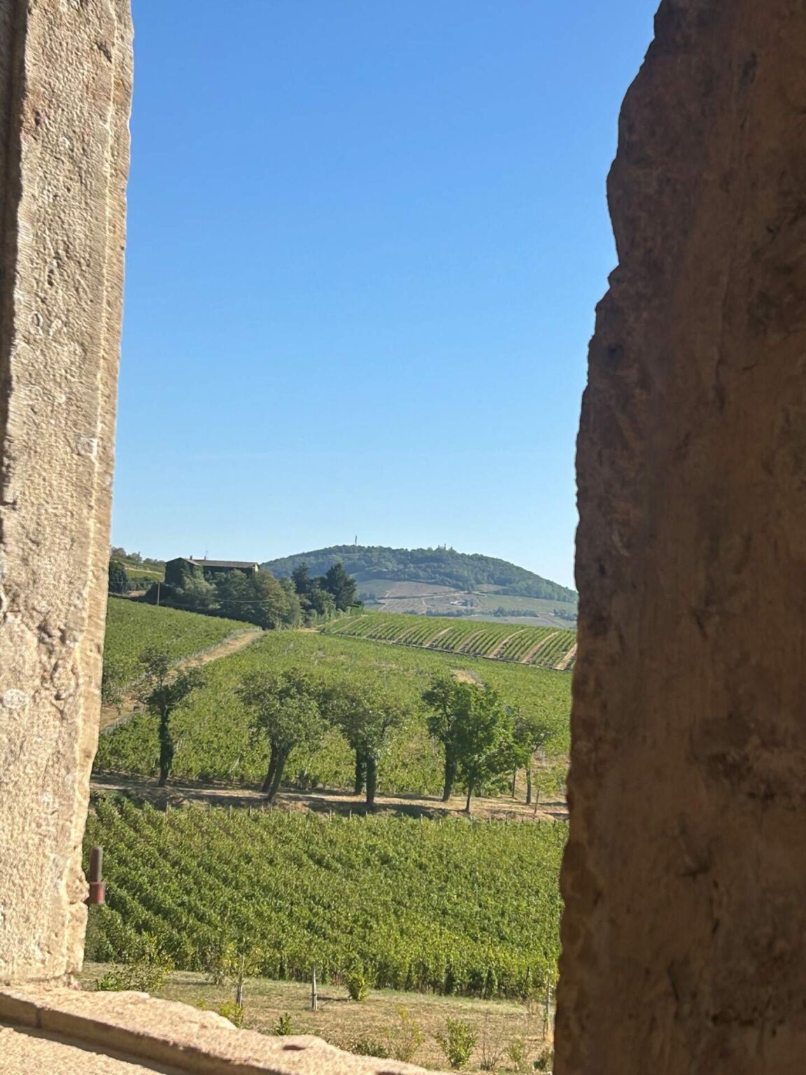 Mont Brouilly....